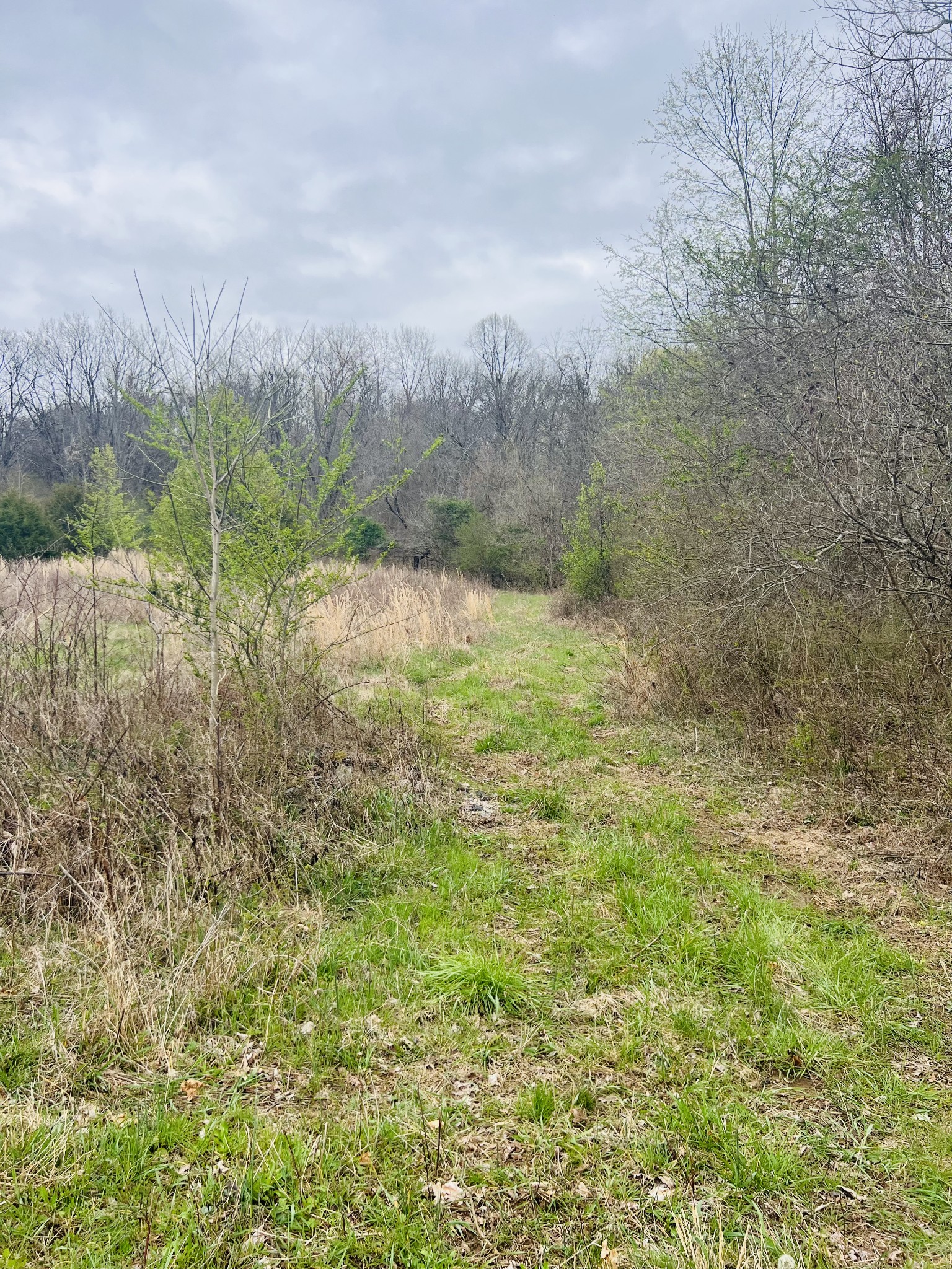 2675 Pullens Mill Road Culleoka, TN 38451 - Photo 22 of 30 Gallery Image 22