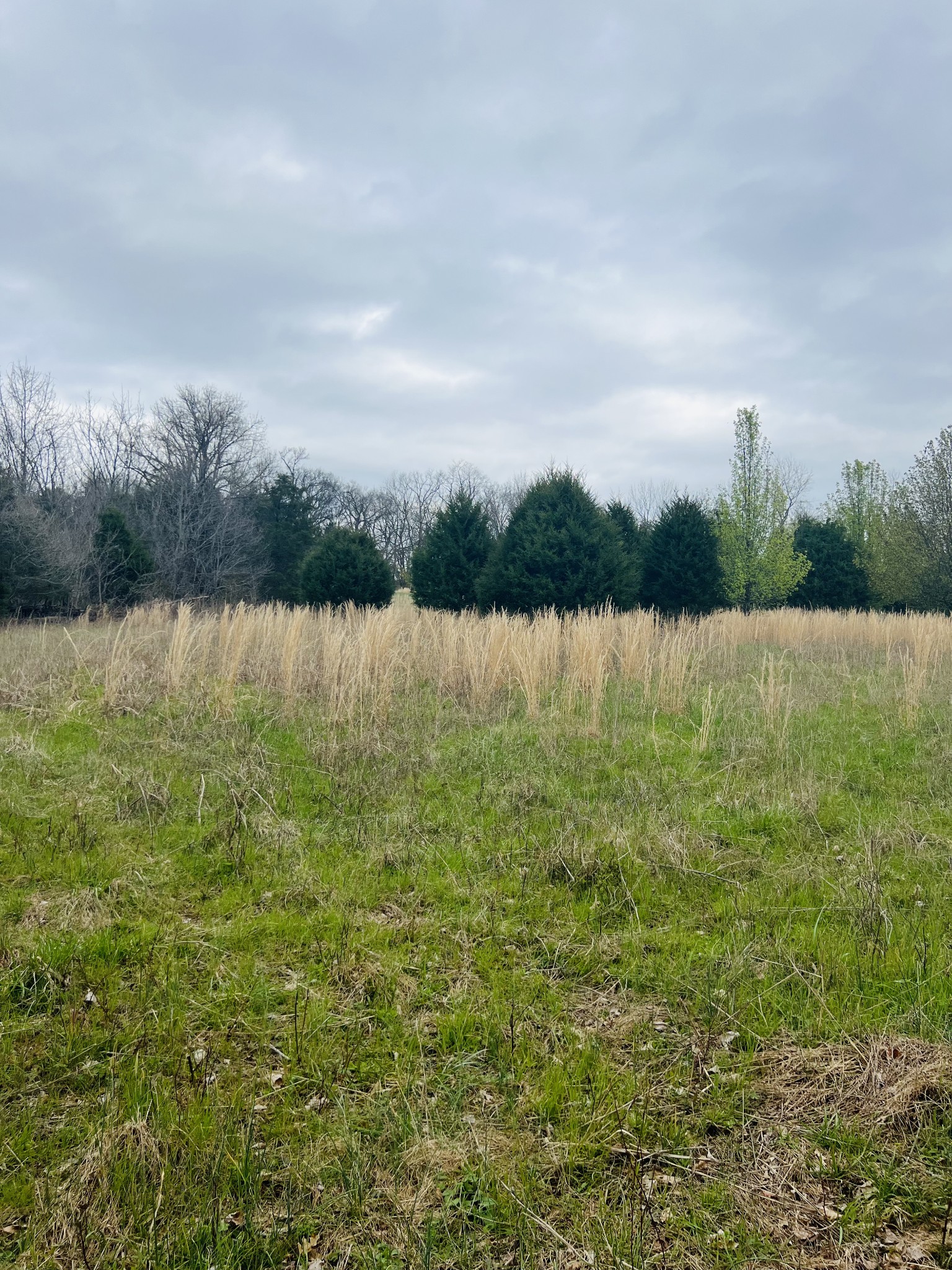 2675 Pullens Mill Road Culleoka, TN 38451 - Photo 23 of 30 Gallery Image 23