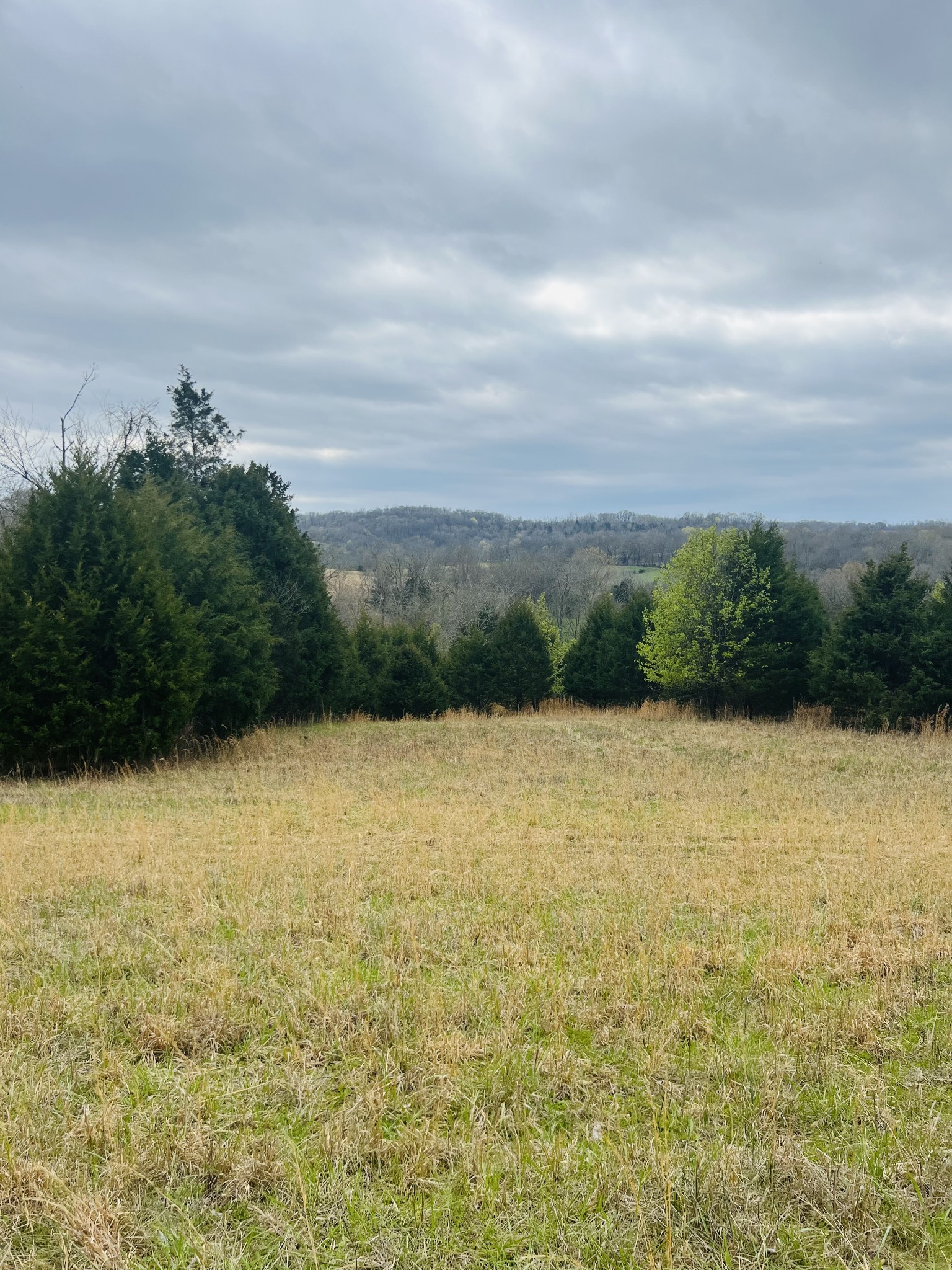 2675 Pullens Mill Road Culleoka, TN 38451 - Photo 26 of 30 Gallery Image 26