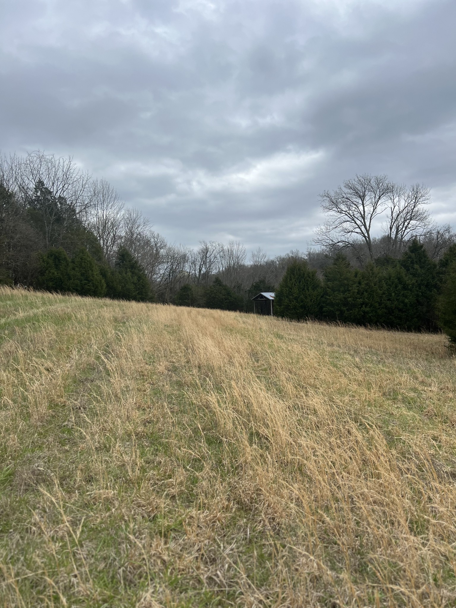 2675 Pullens Mill Road Culleoka, TN 38451 - Photo 28 of 30 Gallery Image 28
