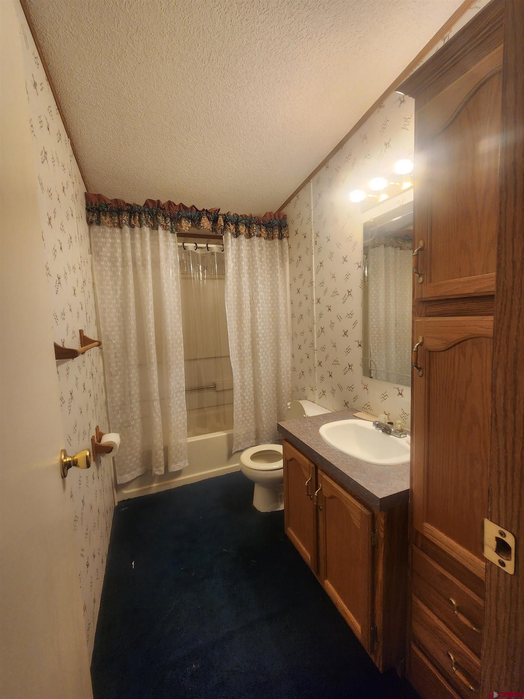 103 Antonito Street Romeo, CO 81148 - Photo 12 of 17 Gallery Image 12