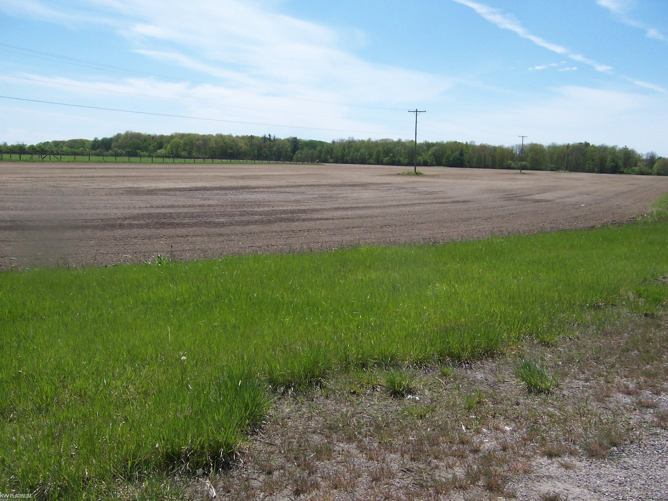 Vacant Kilgore Road Avoca, MI 48006 - Photo 4 of 4