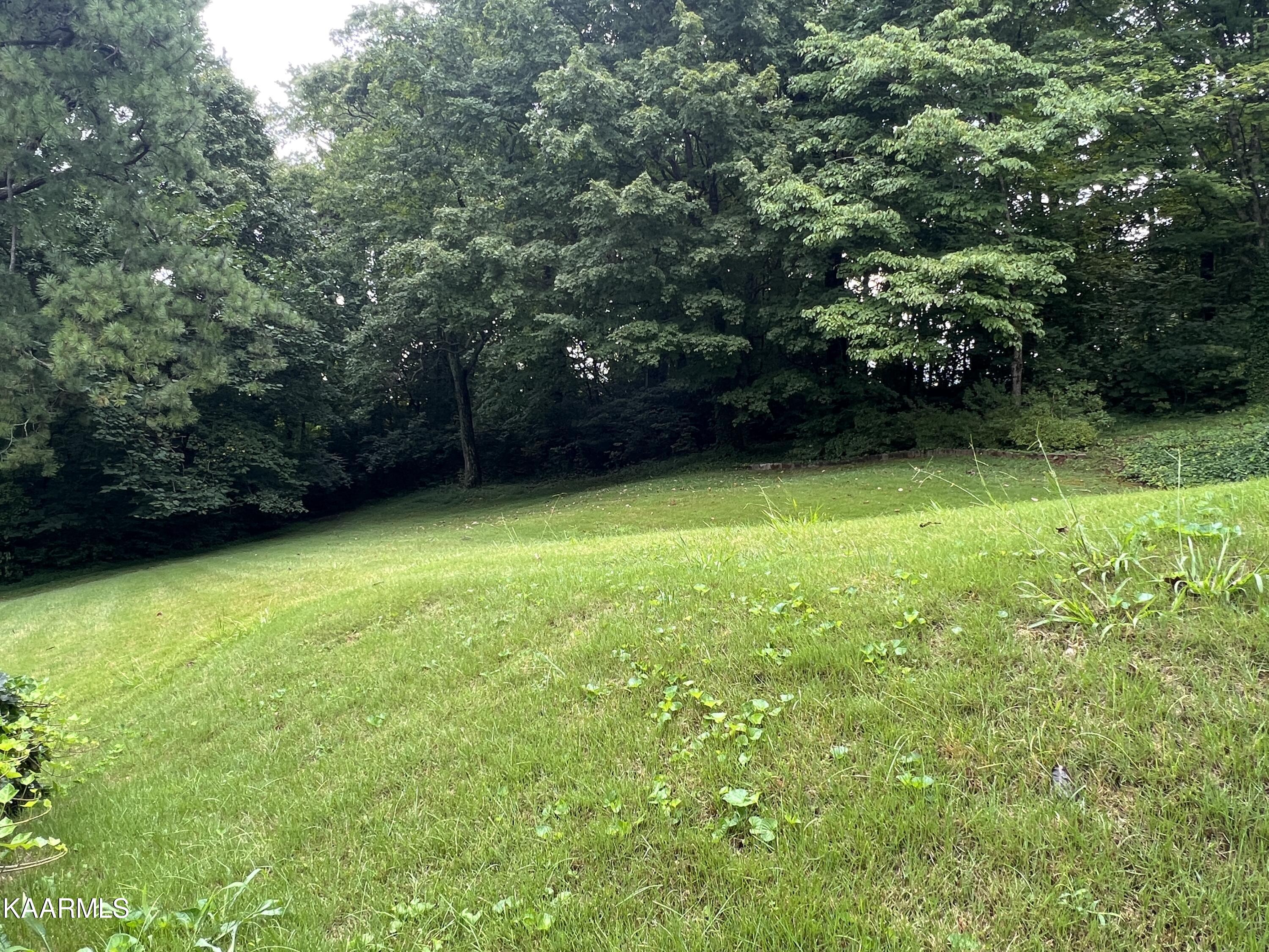 508 Busbee Road Knoxville, TN 37920 - Photo 12 of 55 IMG_8418