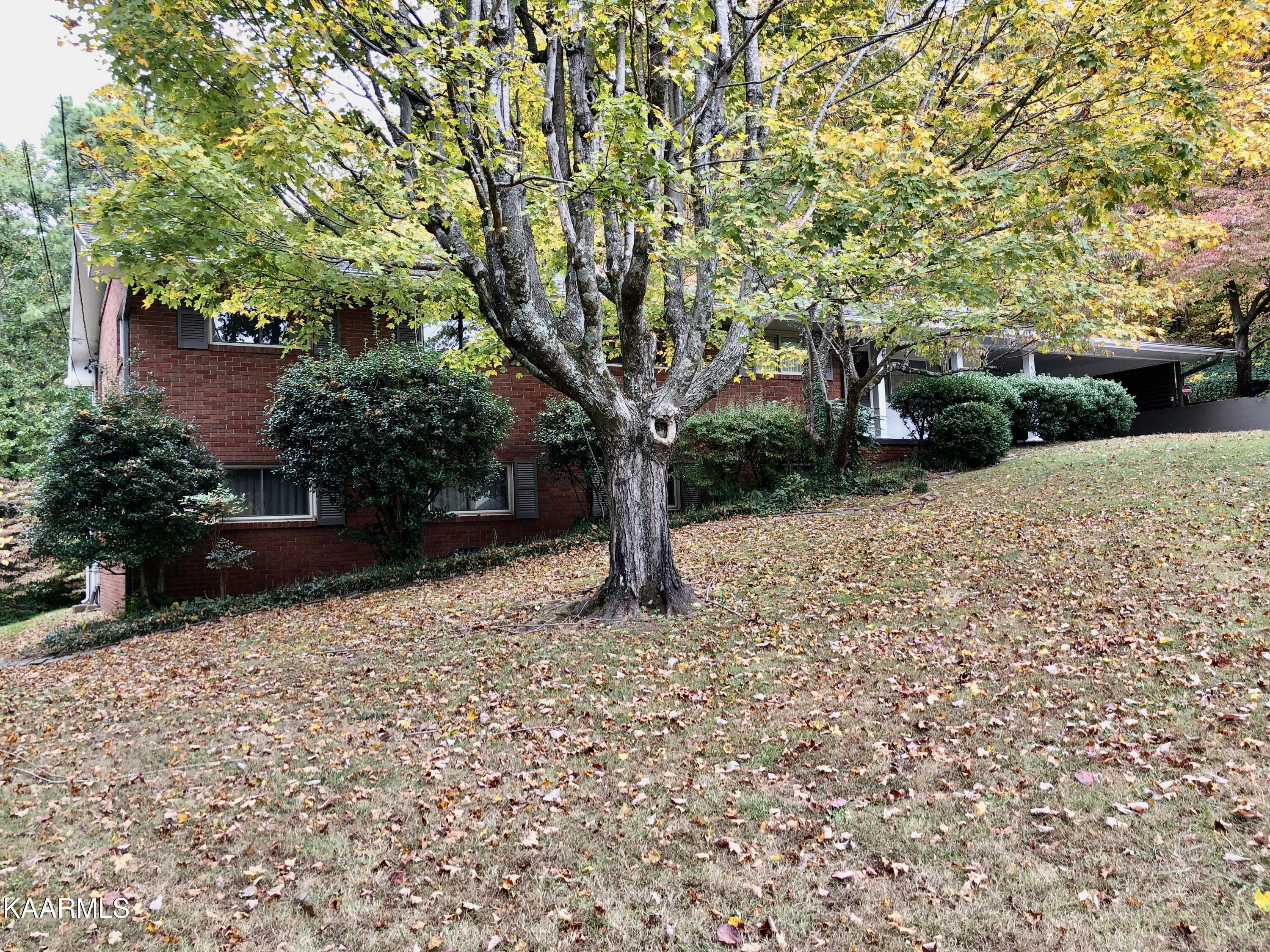 508 Busbee Road Knoxville, TN 37920 - Photo 6 of 55 IMG_9690