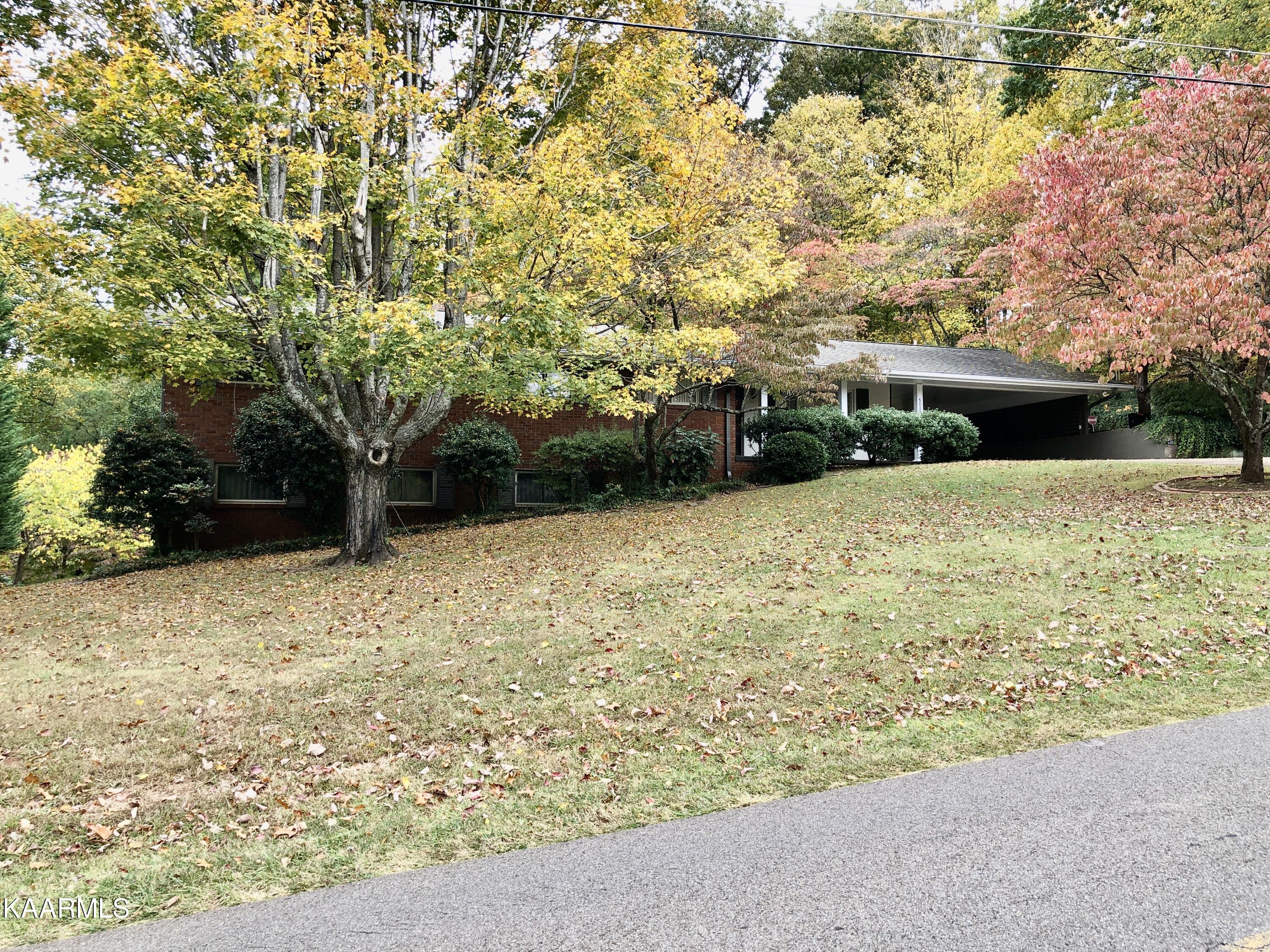508 Busbee Road Knoxville, TN 37920 - Photo 8 of 55 IMG_9689