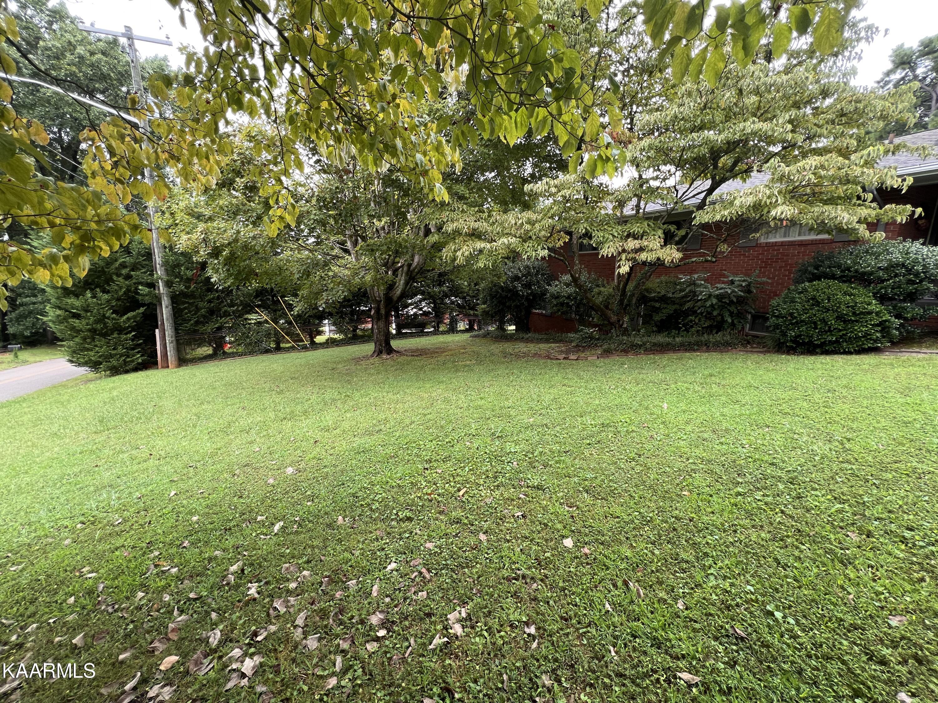508 Busbee Road Knoxville, TN 37920 - Photo 9 of 55 IMG_8410