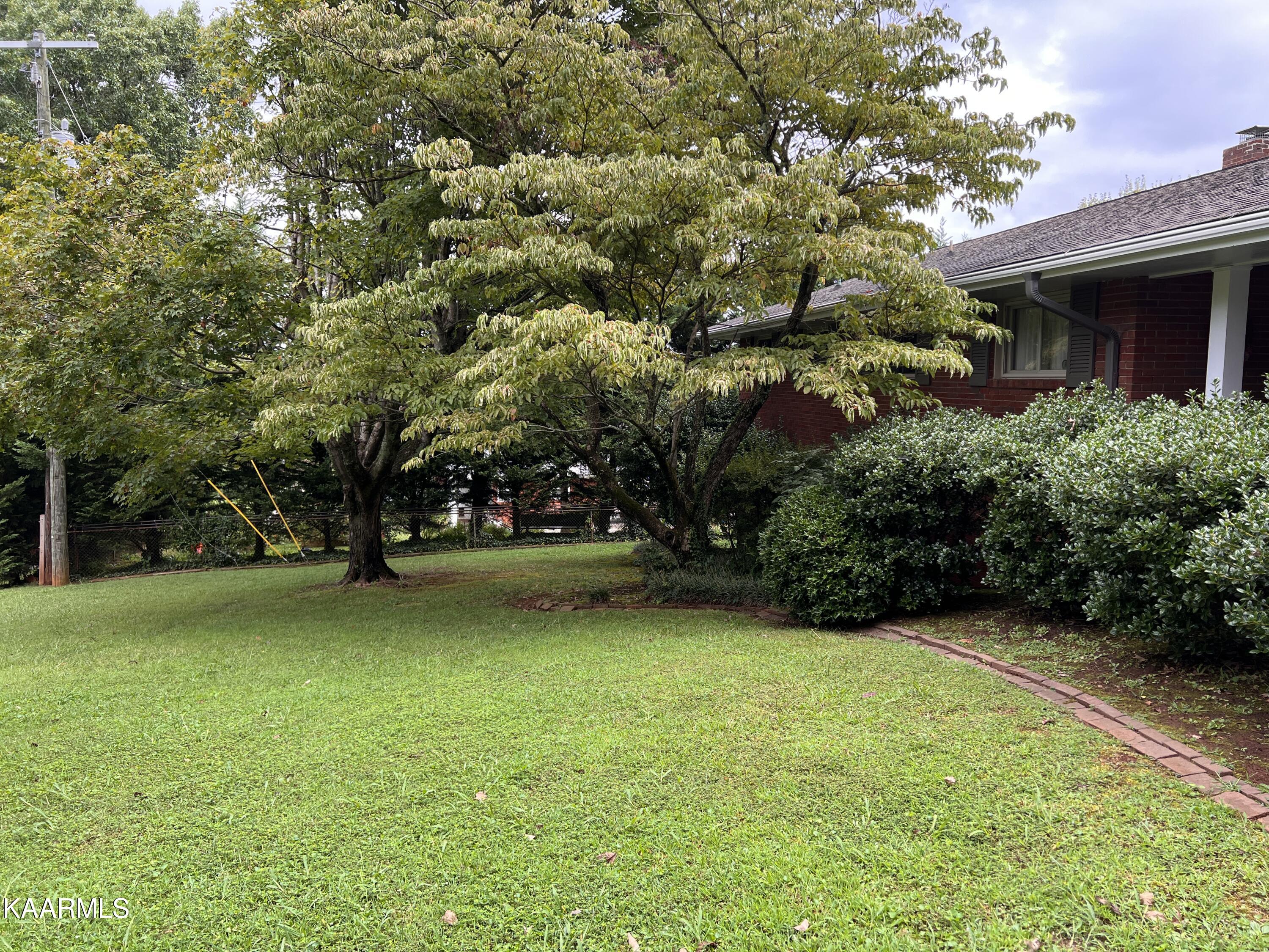 508 Busbee Road Knoxville, TN 37920 - Photo 10 of 55 IMG_8422