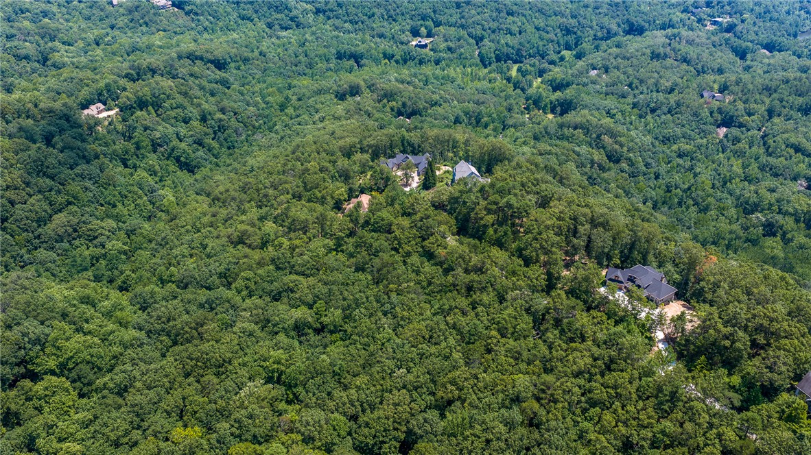 19 Foggy Ridge Way Travelers Rest, SC 29690 - Photo 15 of 27 Gallery Image 15