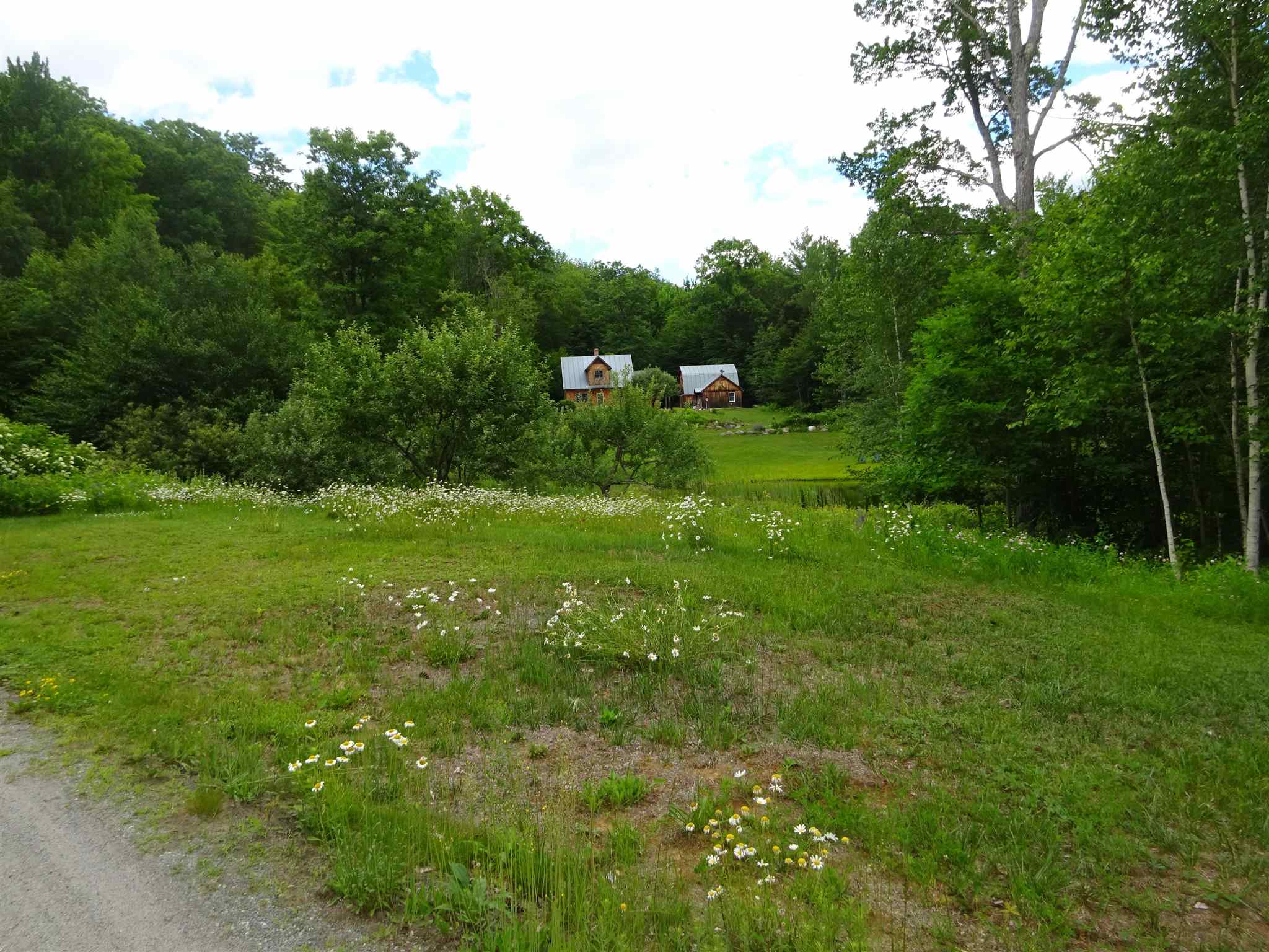 410 Tyson Road Reading, VT 05062 - Photo 2 of 19