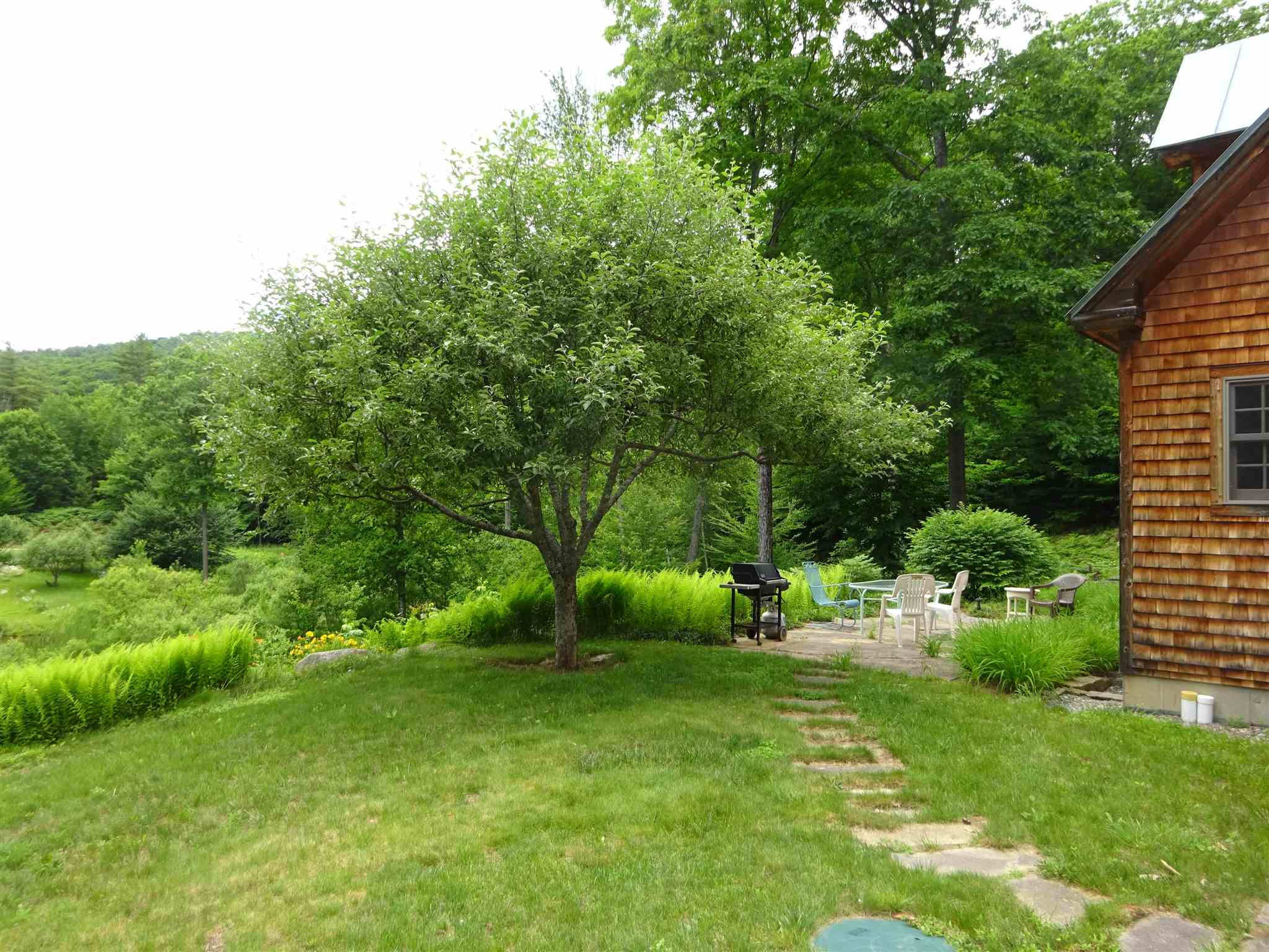 410 Tyson Road Reading, VT 05062 - Photo 3 of 19