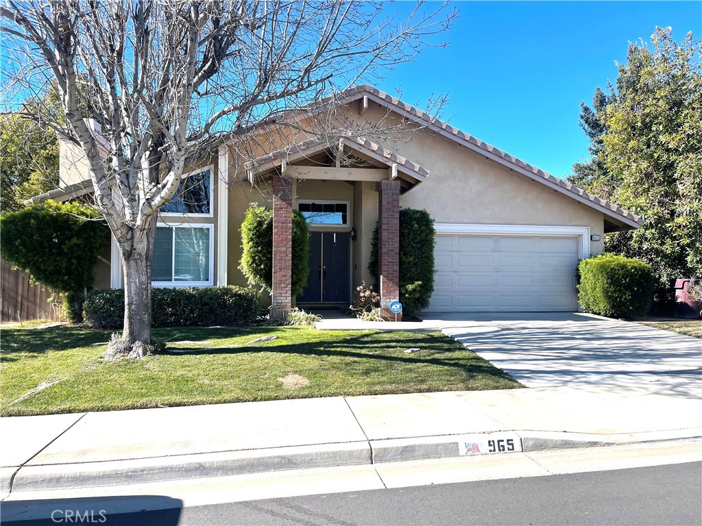 a view of a white house with a large window and a yard with plants and large tree