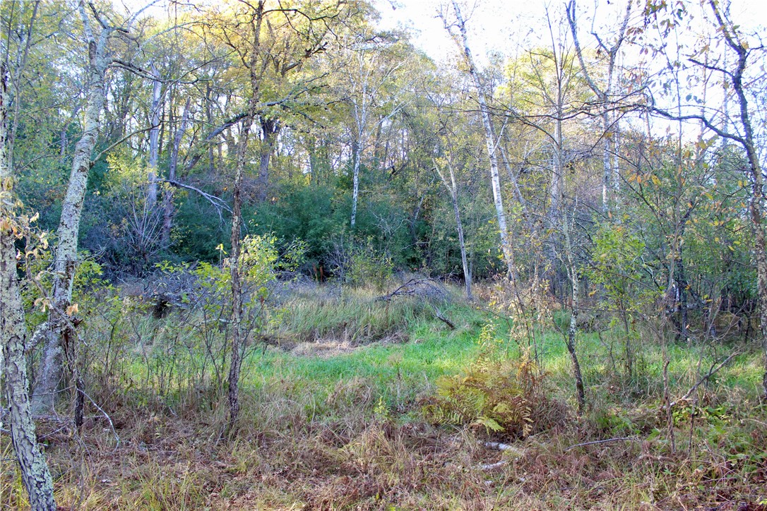 0 South Lowes Creek Road Eau Claire, WI 54701 - Photo 45 of 59