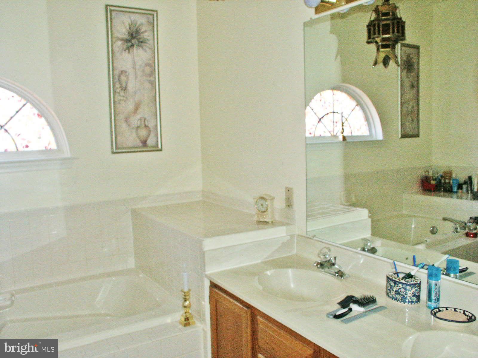 13868 Racine Court Woodbridge, VA 22193 - Photo 12 of 29 a bathroom with a sink mirror and a bathtub