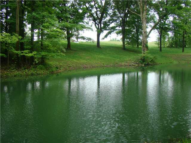 8901 New Delaware Road Mount Vernon, OH 43050 - Photo 1 of 9 Gallery Image 1