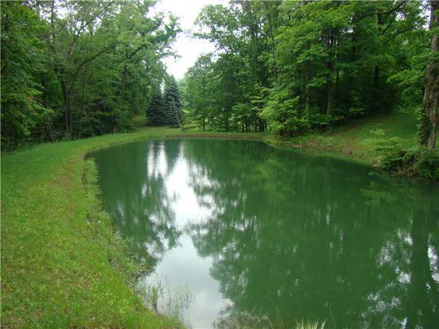 8901 New Delaware Road Mount Vernon, OH 43050 - Photo 3 of 9 Gallery Image 3