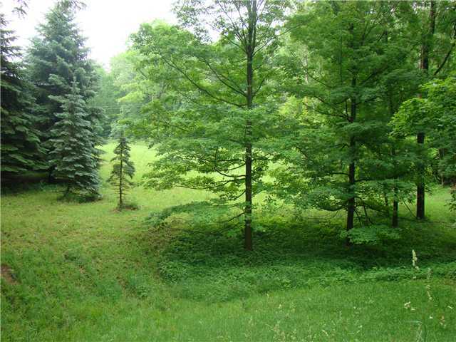 8901 New Delaware Road Mount Vernon, OH 43050 - Photo 4 of 9 Gallery Image 4
