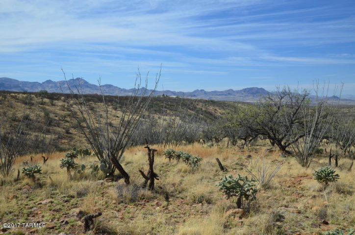 Tbd Camino Nacozari, Unit 63 Rio Rico, AZ 85648 - Photo 7 of 13