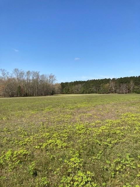 0 Greta Road, Unit 12 Atlantic, VA 23303 - Photo 3 of 7