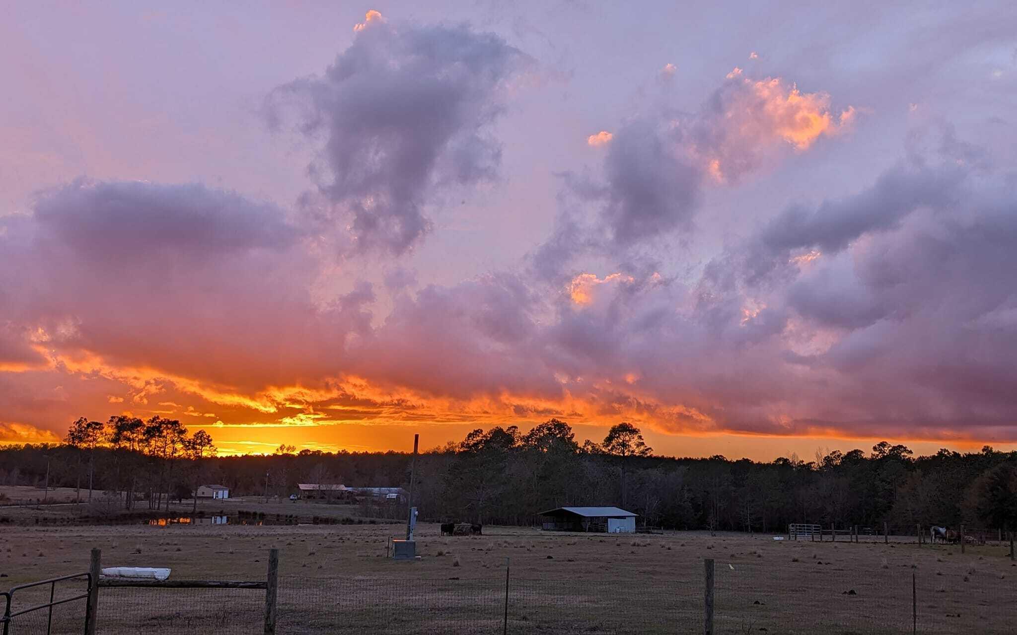 8320 Thames Road Baker, FL 32531 - Photo 2 of 48 a view of city and mountain