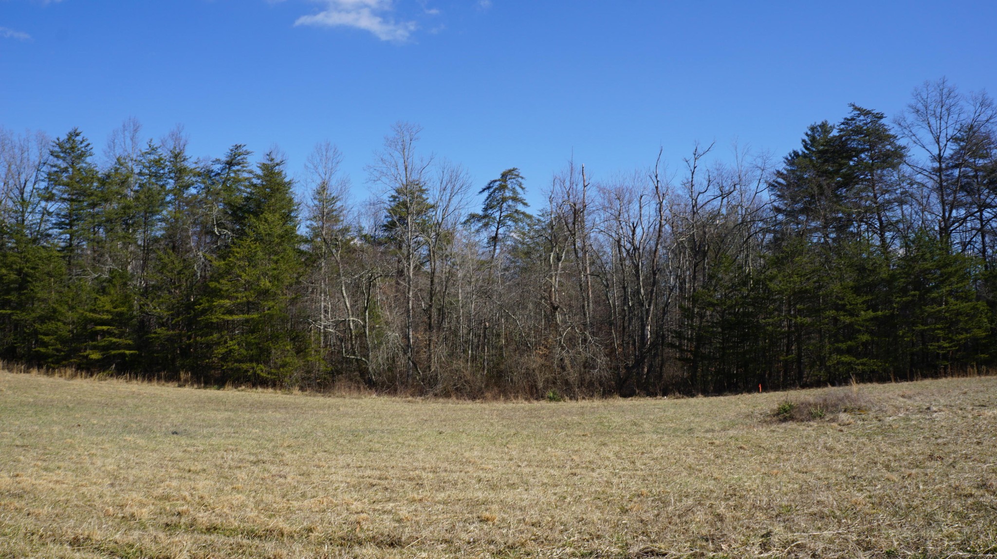 677 Al Goss Road Crossville, TN 38571 - Photo 4 of 18 Gallery Image 4