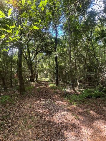 0 Cowart Road Bush, LA 70431 - Photo 7 of 10