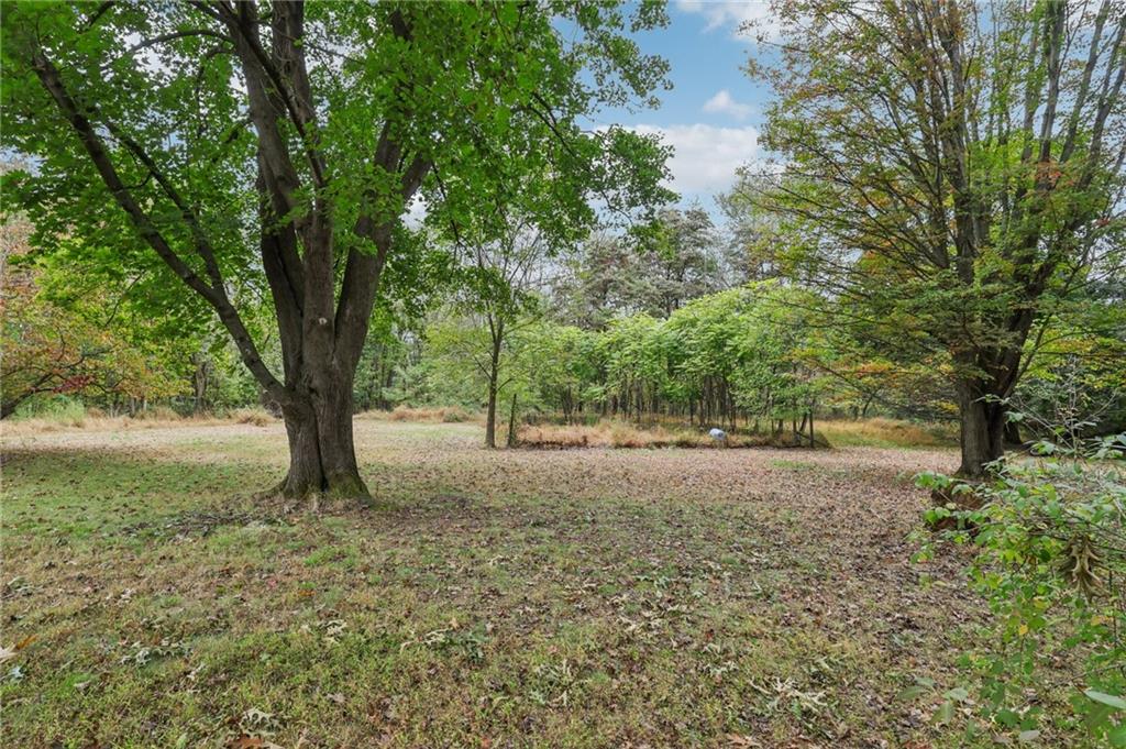 957 Cherry Lane Road Apollo, PA 15613 - Photo 35 of 38 a view of a tree in the middle of a yard