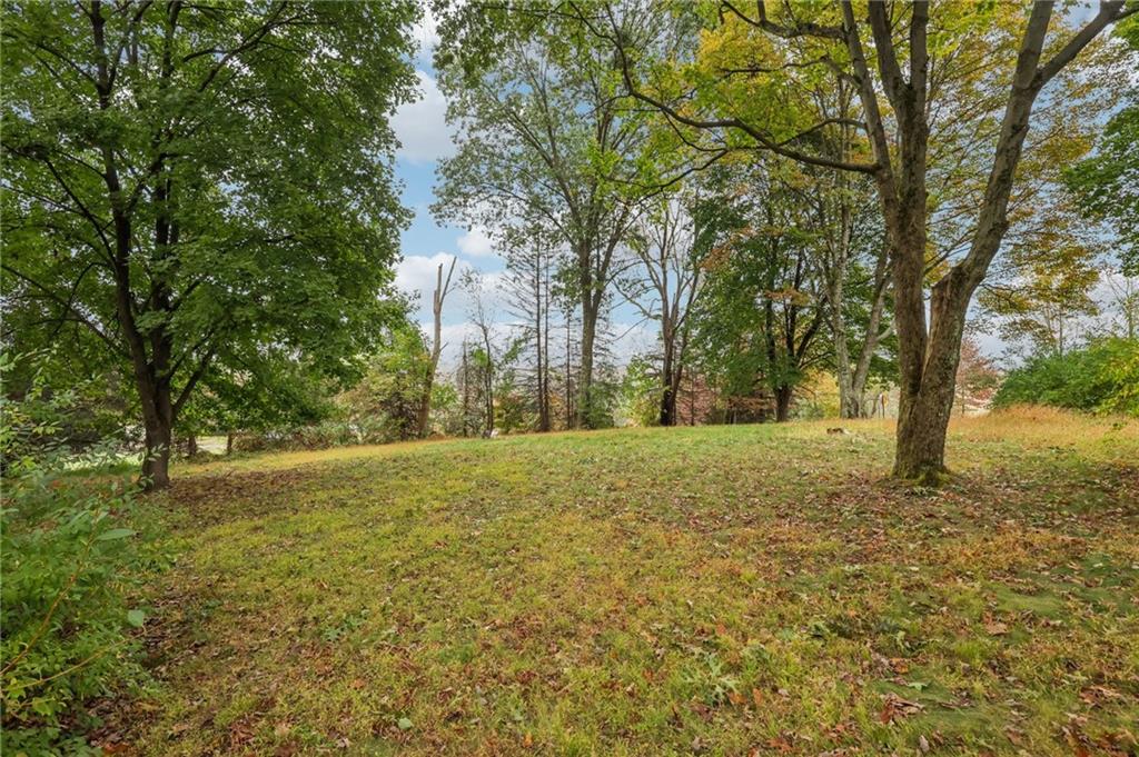 957 Cherry Lane Road Apollo, PA 15613 - Photo 36 of 38 a view of large trees with a yard