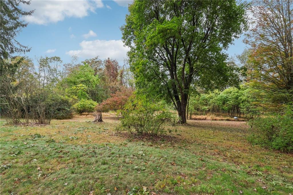 957 Cherry Lane Road Apollo, PA 15613 - Photo 37 of 38 a view of a yard with plants and trees