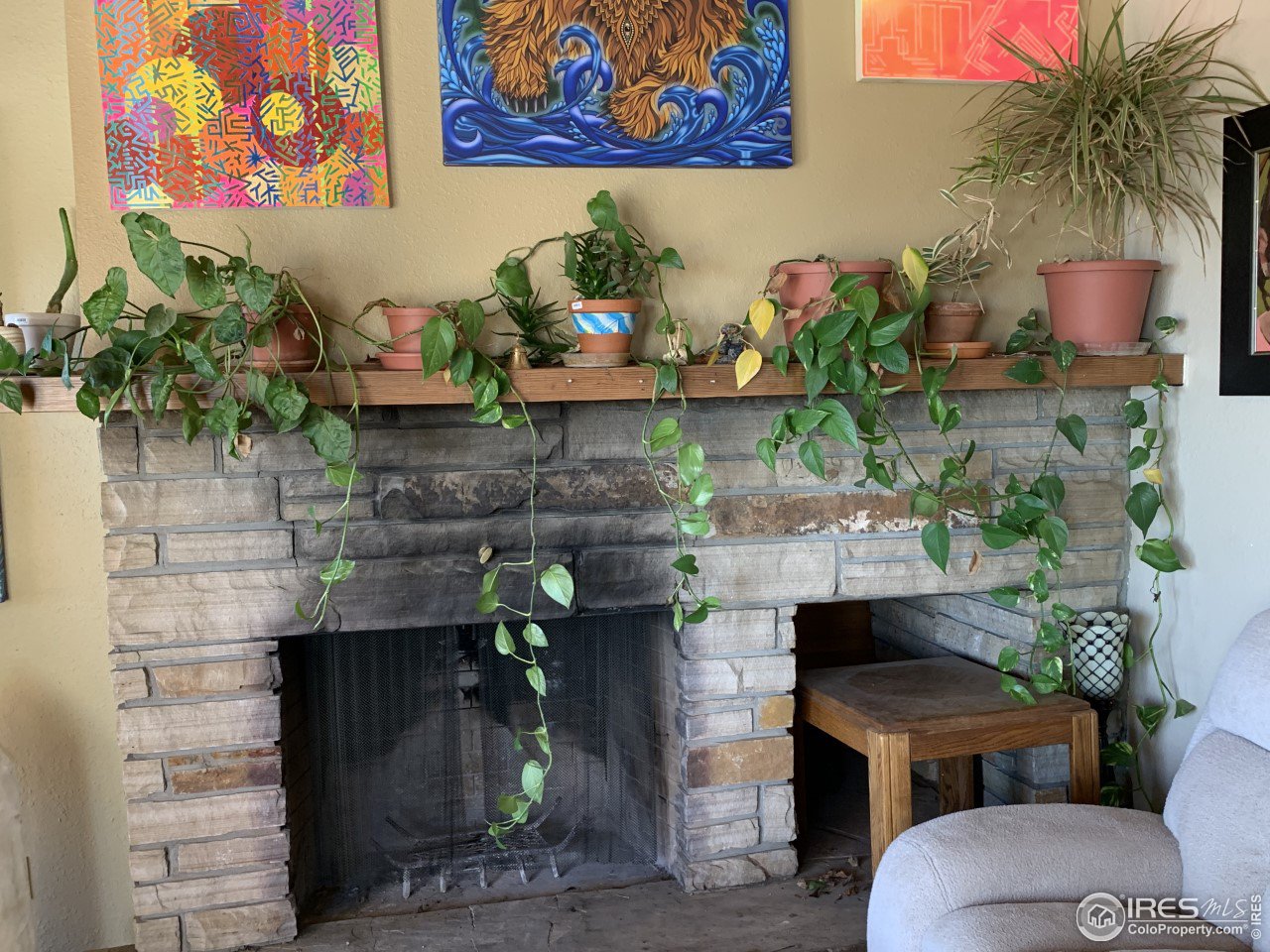 1040 Brook Road Boulder, CO 80302 - Photo 13 of 20 Wood Burning Fireplace
