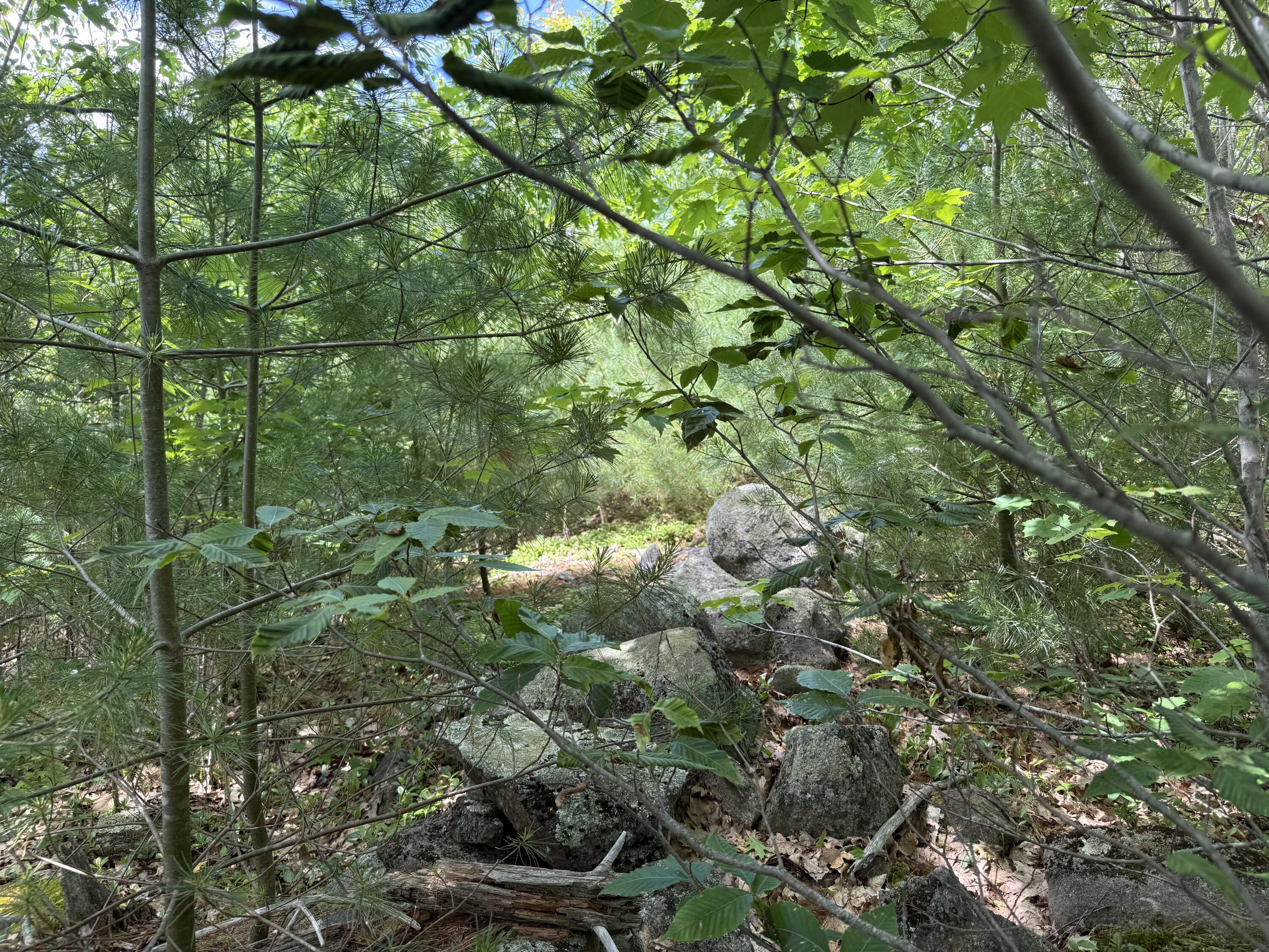 Lot 112 Mountain Road Warren, ME 04864 - Photo 5 of 7 IMG_3894