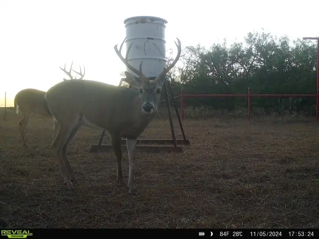 $1,400,000 | 953 Fm-799, George West, TX 78022