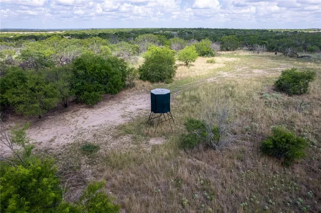 a view of a pathway with a yard