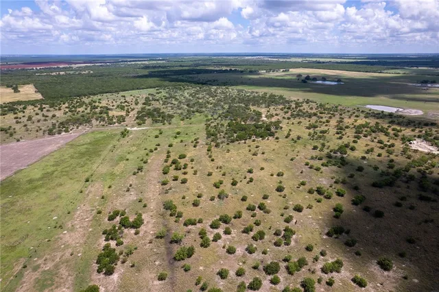 a view of a pathway both side of river