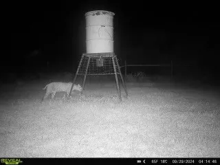 a view of a water pond with green space