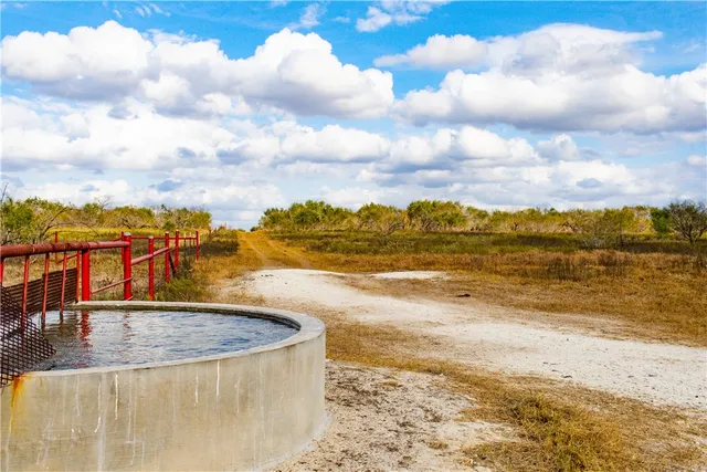a view of a swimming pool with a terrace