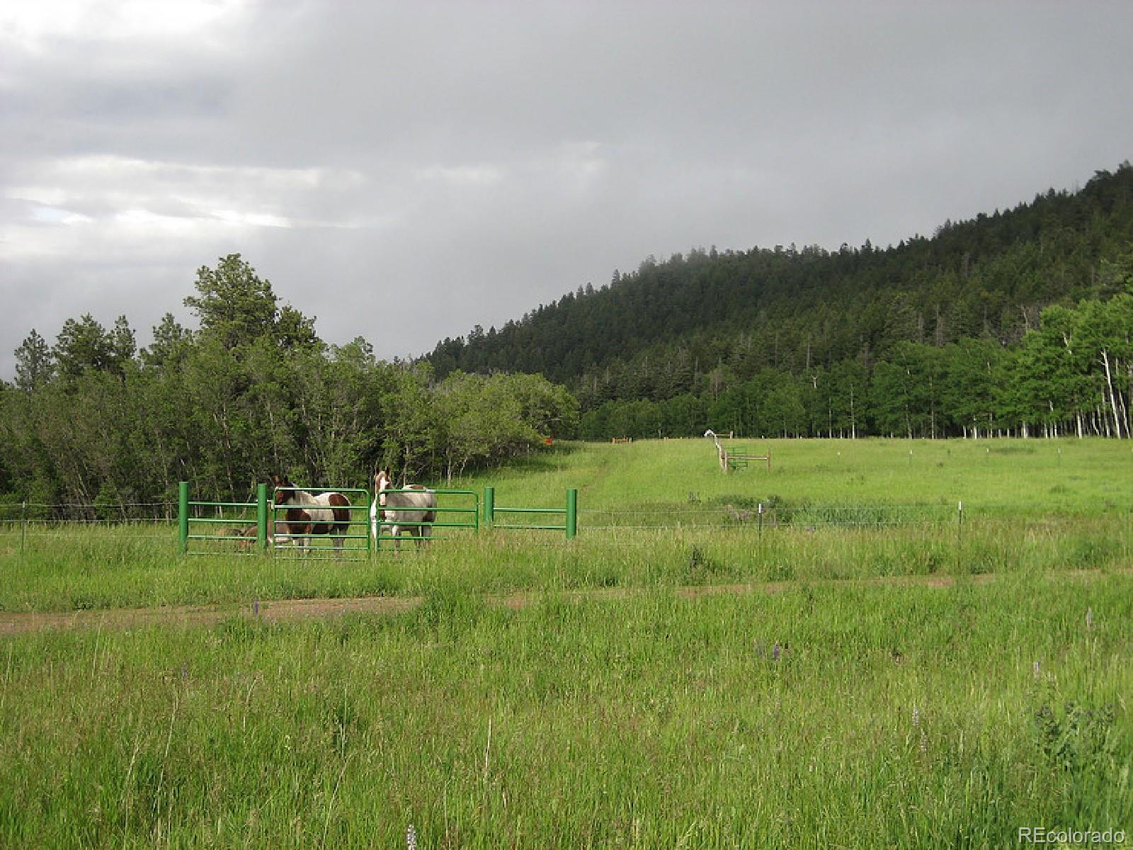 8885 Deifendeffer Road Rye, CO 81069 - Photo 2 of 30 Gallery Image 2