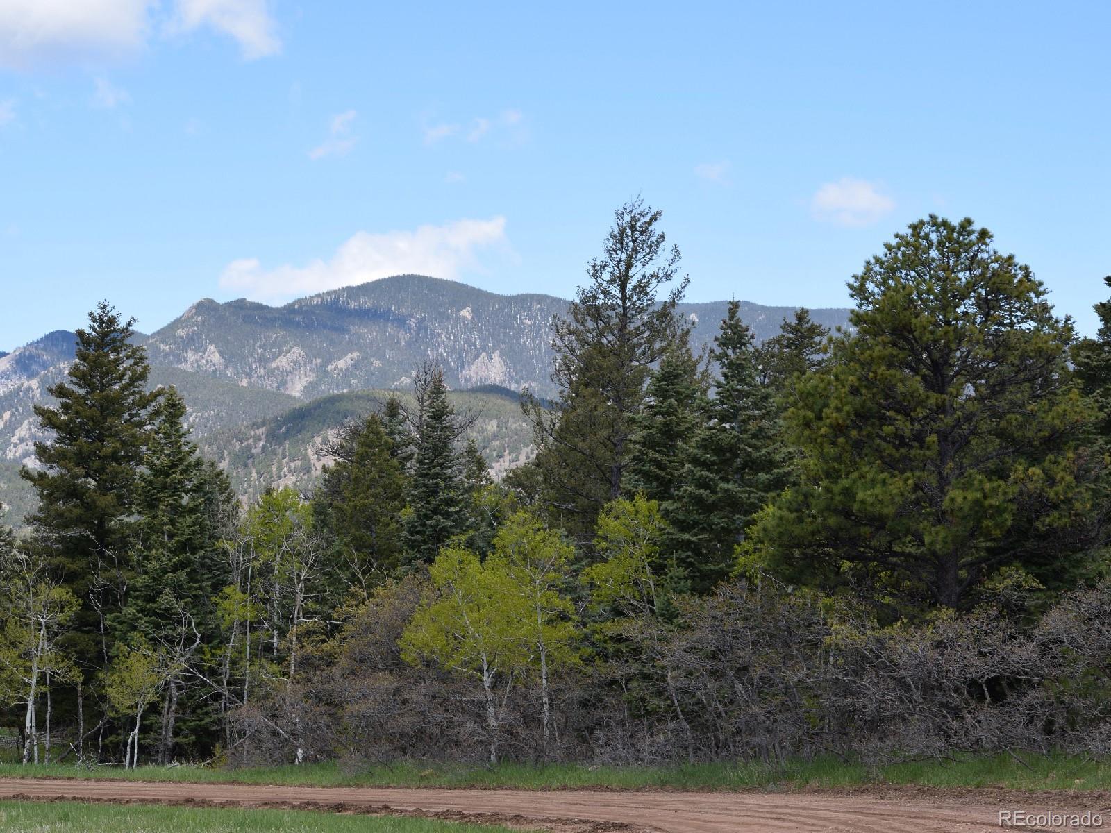 8885 Deifendeffer Road Rye, CO 81069 - Photo 25 of 30 Gallery Image 25