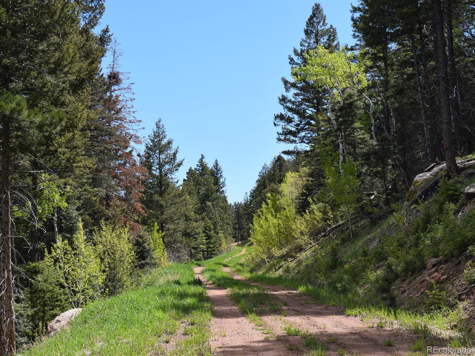 8885 Deifendeffer Road Rye, CO 81069 - Photo 28 of 30 Gallery Image 28