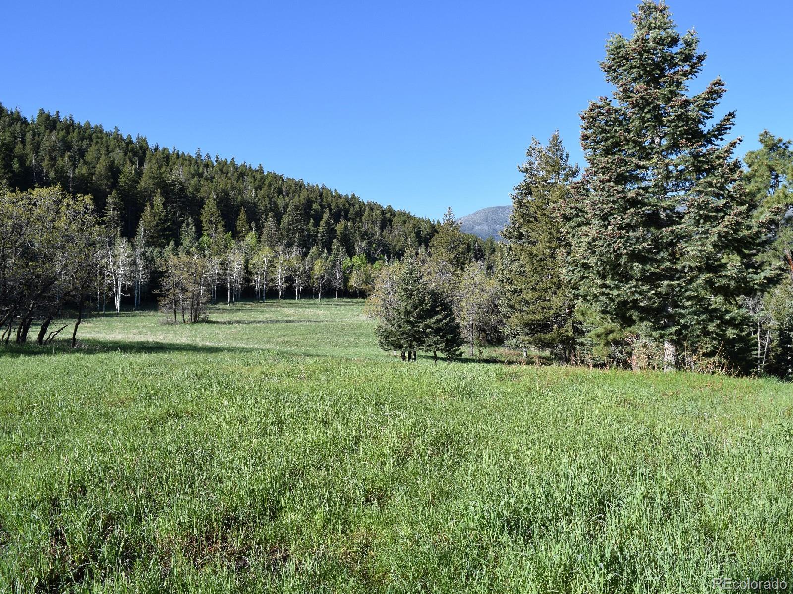 8885 Deifendeffer Road Rye, CO 81069 - Photo 3 of 30 Gallery Image 3