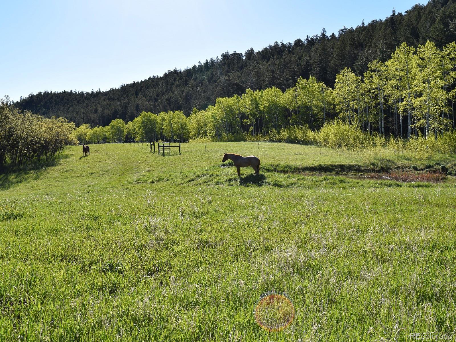 8885 Deifendeffer Road Rye, CO 81069 - Photo 4 of 30 Gallery Image 4