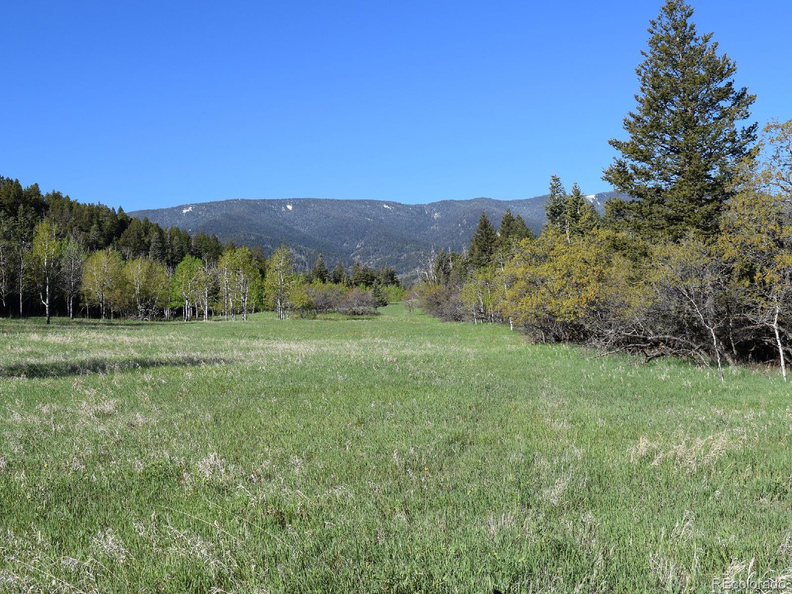 8885 Deifendeffer Road Rye, CO 81069 - Photo 8 of 30 Gallery Image 8