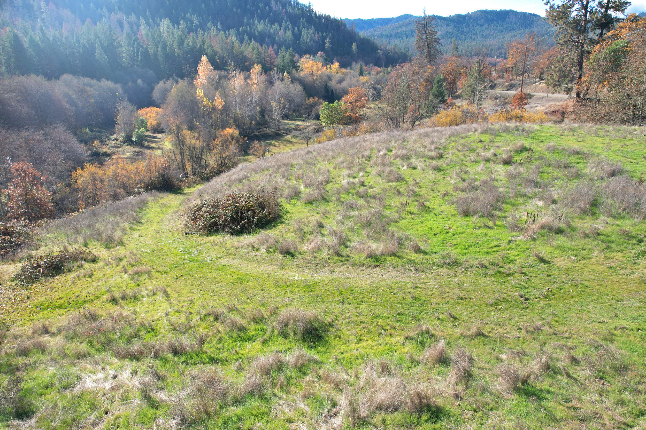 North Applegate Road Jacksonville, OR 97530 - Photo 13 of 51 road in upper NW pasture