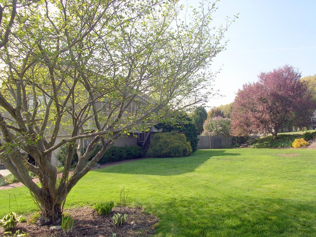 64 Harrington Road Framingham, MA 01701 - Photo 27 of 29 Gallery Image 27