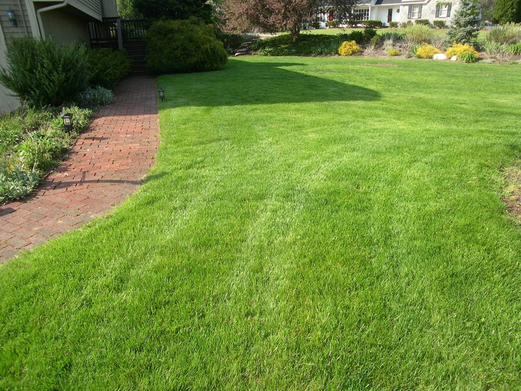 64 Harrington Road Framingham, MA 01701 - Photo 28 of 29 Gallery Image 28