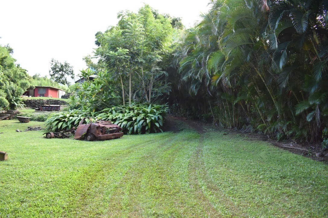 7061 Koolau Road Kilauea, HI 96754 - Photo 1 of 1 Gallery Image 1