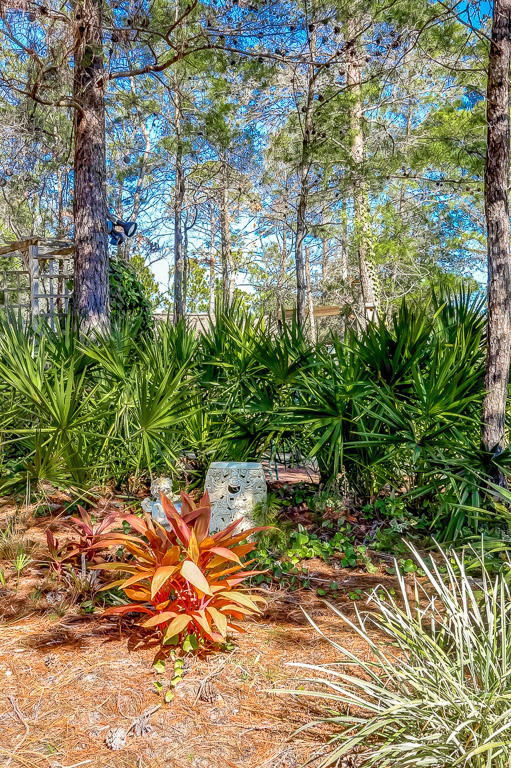 204 Vía Largo Santa Rosa Beach, FL 32459 - Photo 29 of 29