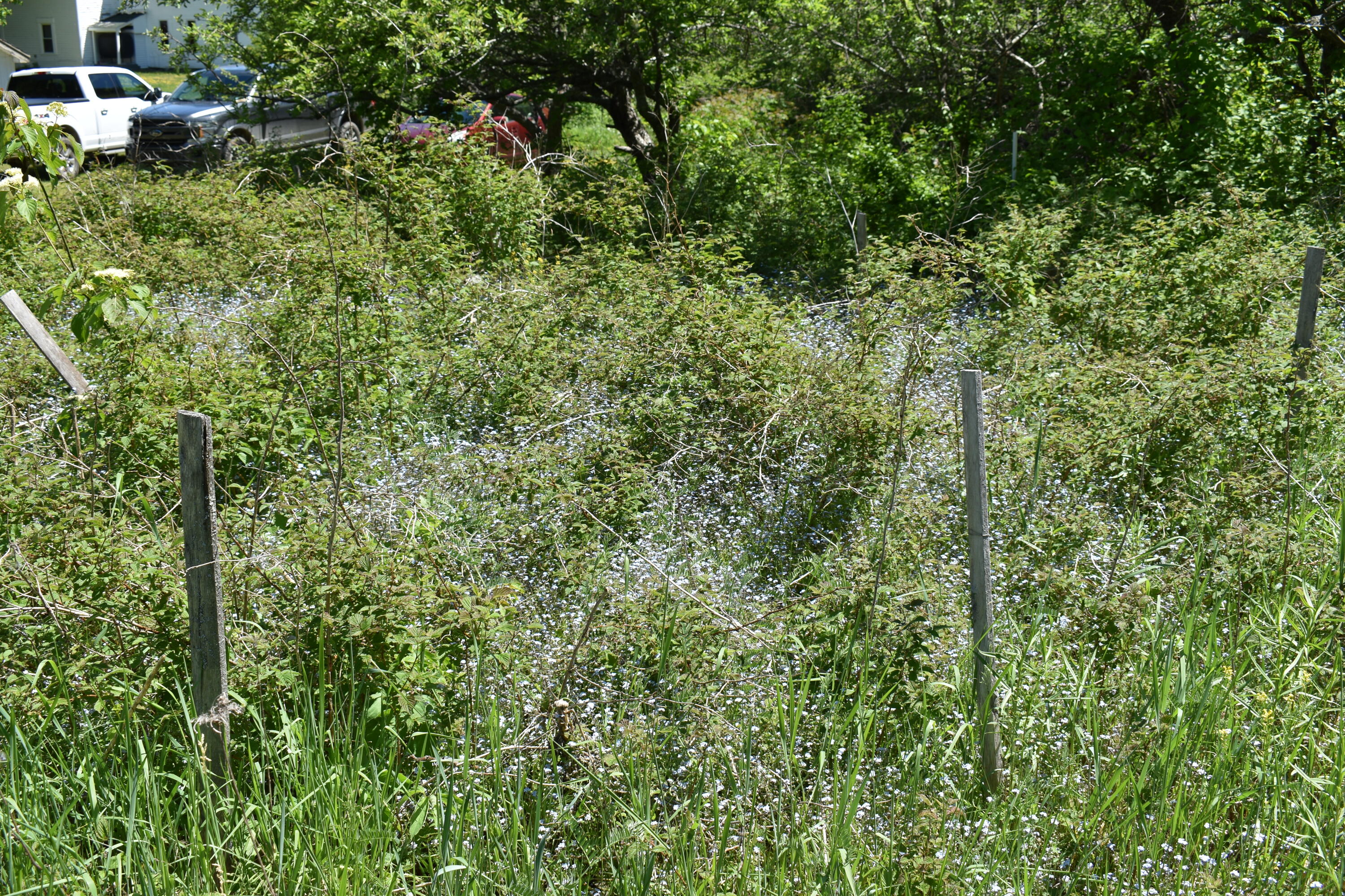 2731 Lee Road Lee, ME 04455 - Photo 69 of 73 DSC_0070
