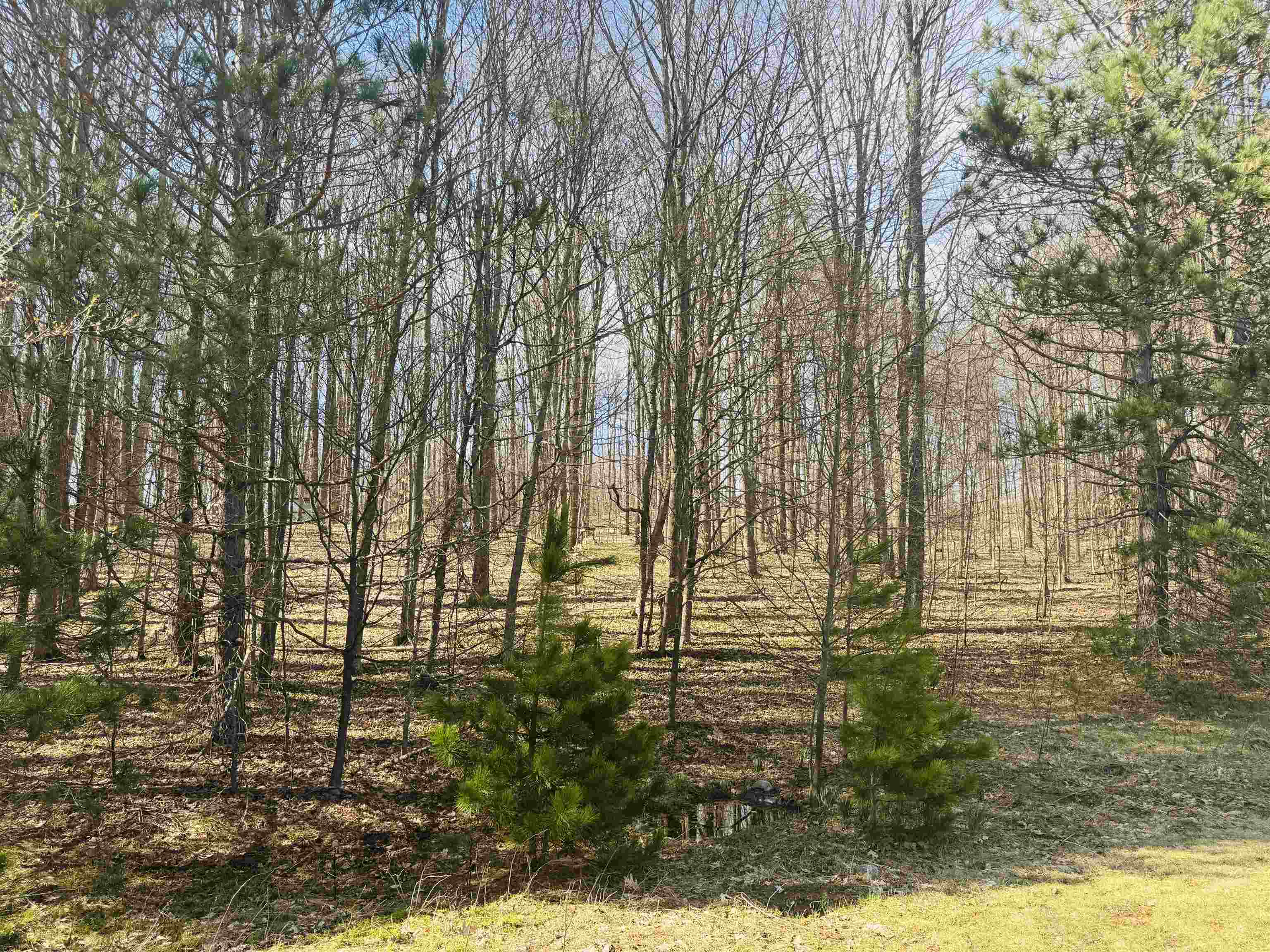 4340 South 7 1/2 Road Harrietta, MI 49638 - Photo 14 of 59