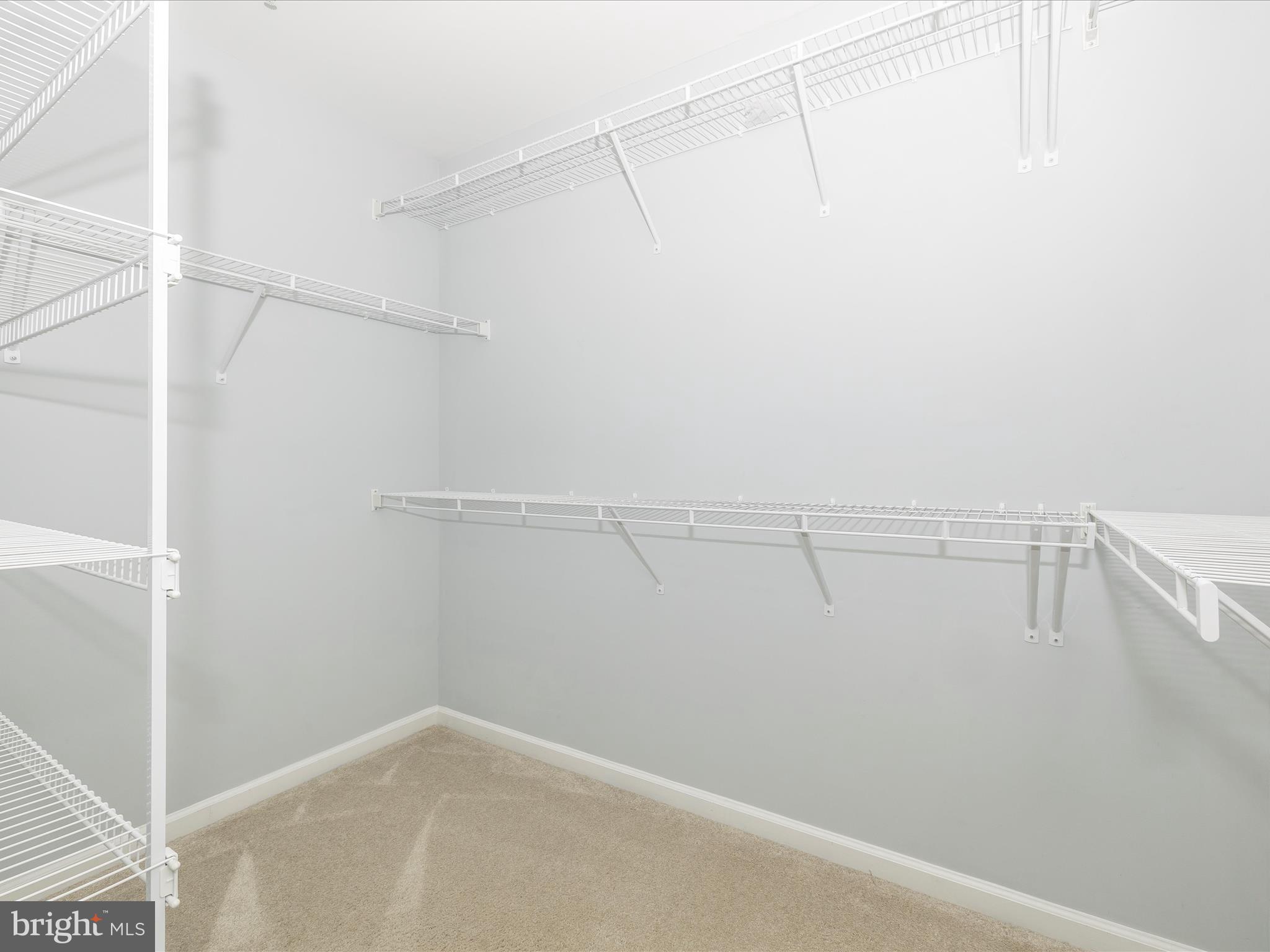 8408 Pine Bluff Road Frederick, MD 21704 - Photo 30 of 61 Closet