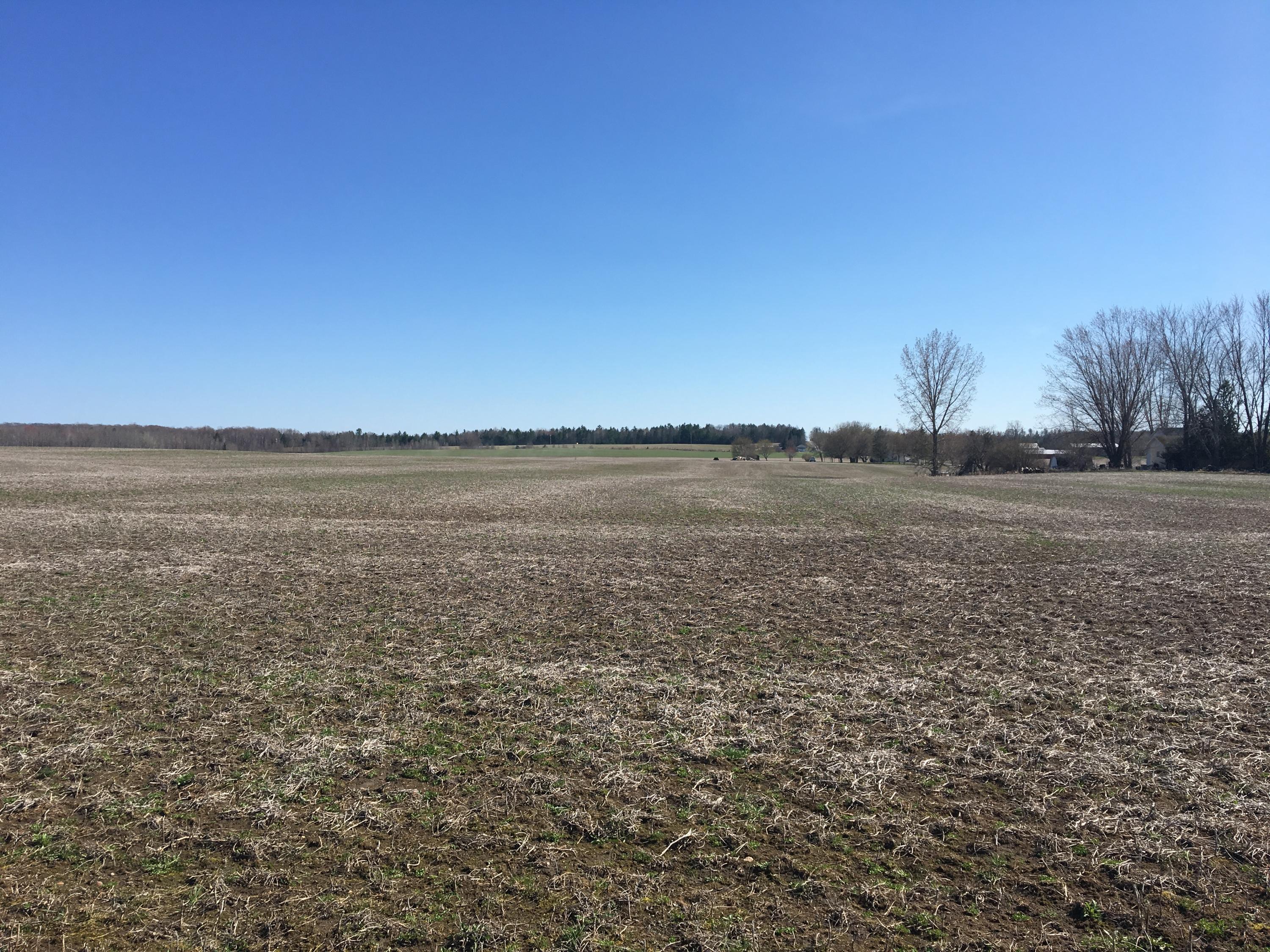 3645 Stinson Road Herron, MI 49744 - Photo 11 of 57 Gallery Image 11